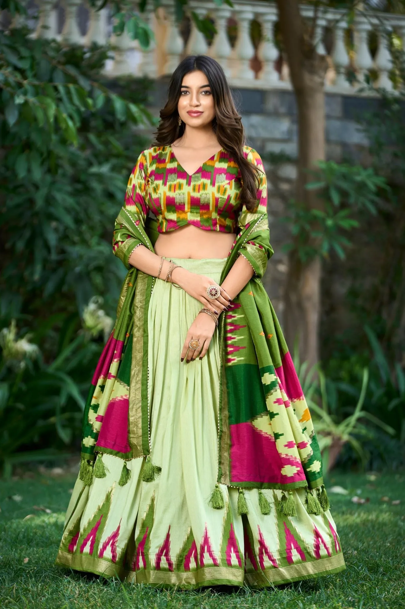 Blissful Elegance Lehenga Choli